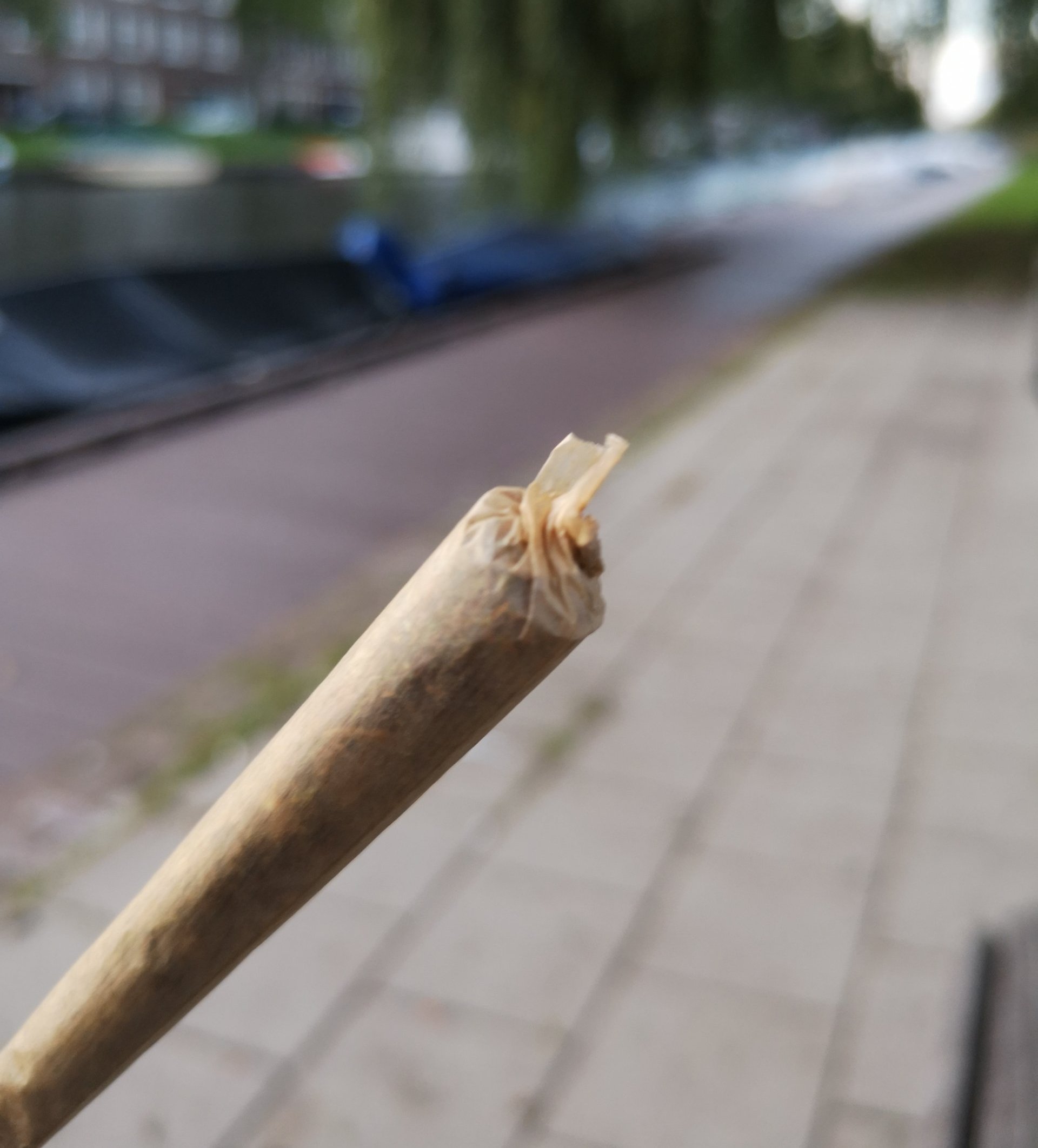 ολλανδία-μαριχουάνα-coffeeshops